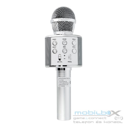 Multimedia karaoke microphone CR58 silver